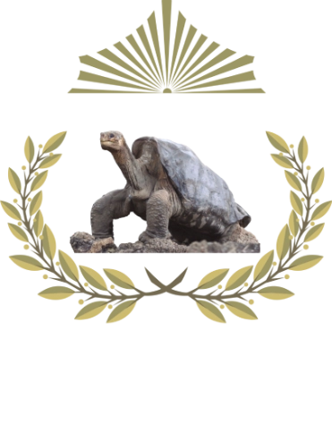 Hotel Déjà Vu